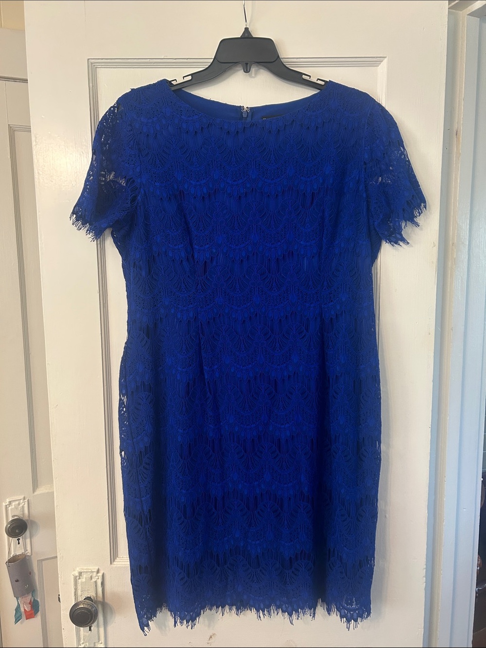 Preston & York Cobalt Lace Short-Sleeve Midi Dress